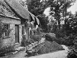 Click to view image Studland Village Cottages