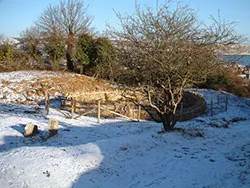 Click to view image Snow at a old quarry