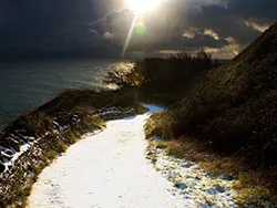 Click to view image Snowy Path