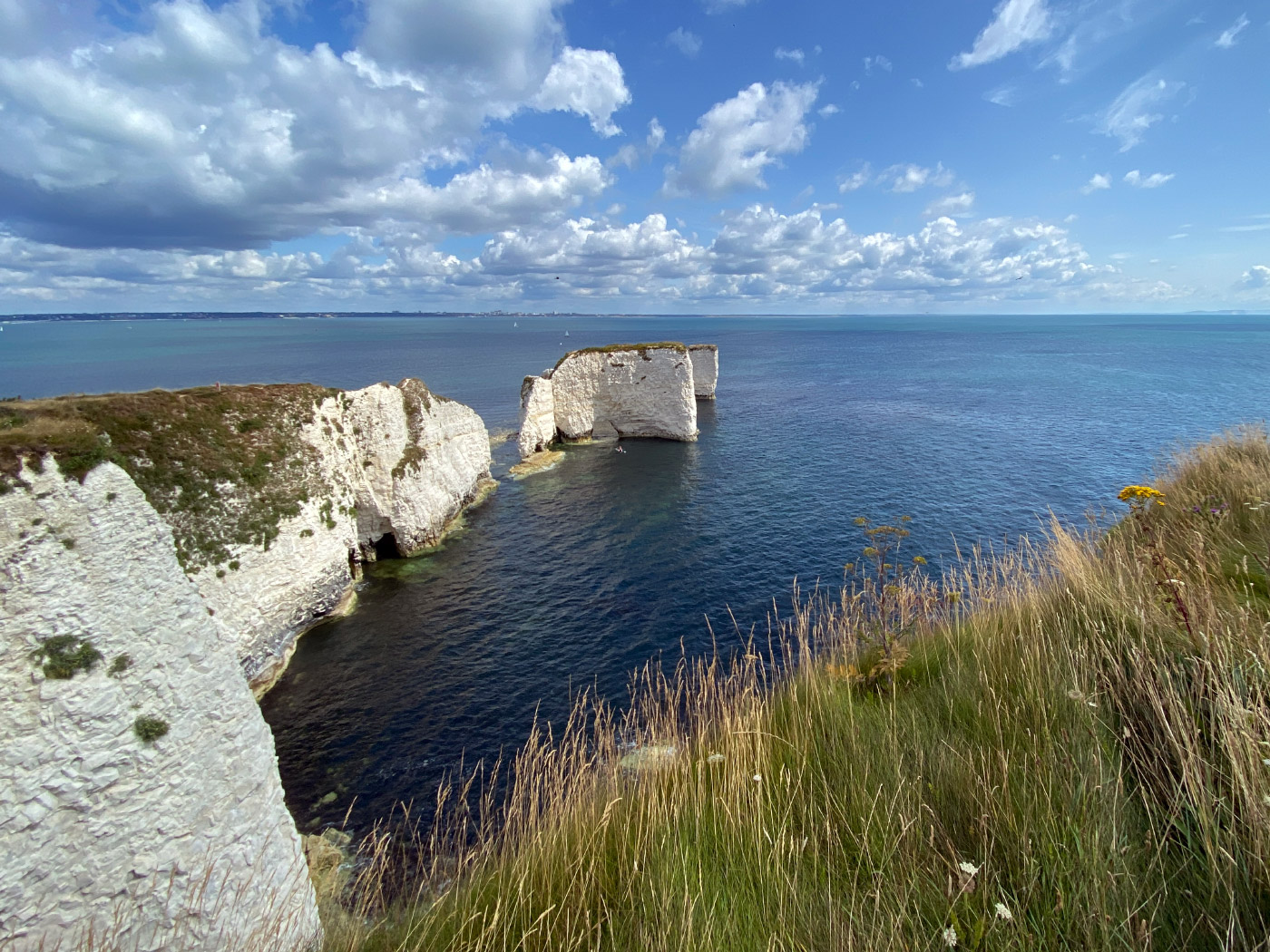 Click to view image Old Harry Rocks in Summer