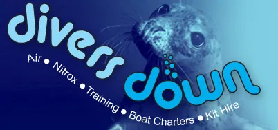 Logo for Divers Down Swanage 