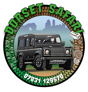 Logo for Dorset Safari