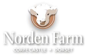 Logo for Norden Farm Campsite