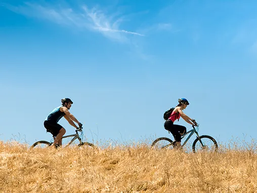 Cycle Shops and Bike Hire Listings