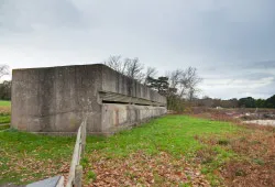 Fort Henry