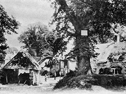 Click to view image Farm buildings in Studland