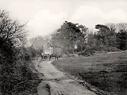 Studland Village Green in the Virtual Swanage Gallery