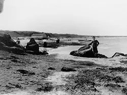 Studland Beach and boat ramp - Ref: VS2175