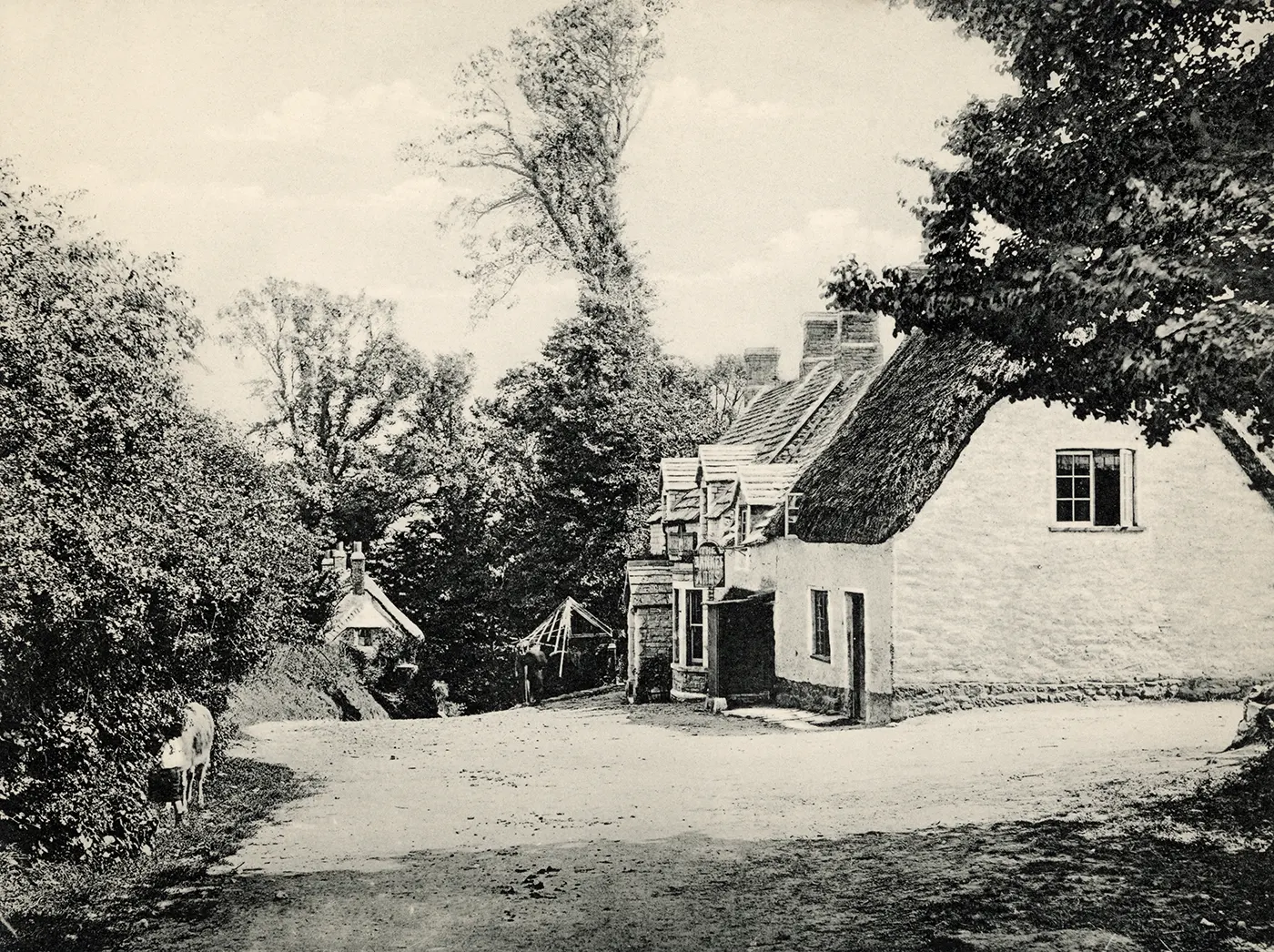 Swanage and Purbeck Gallery
