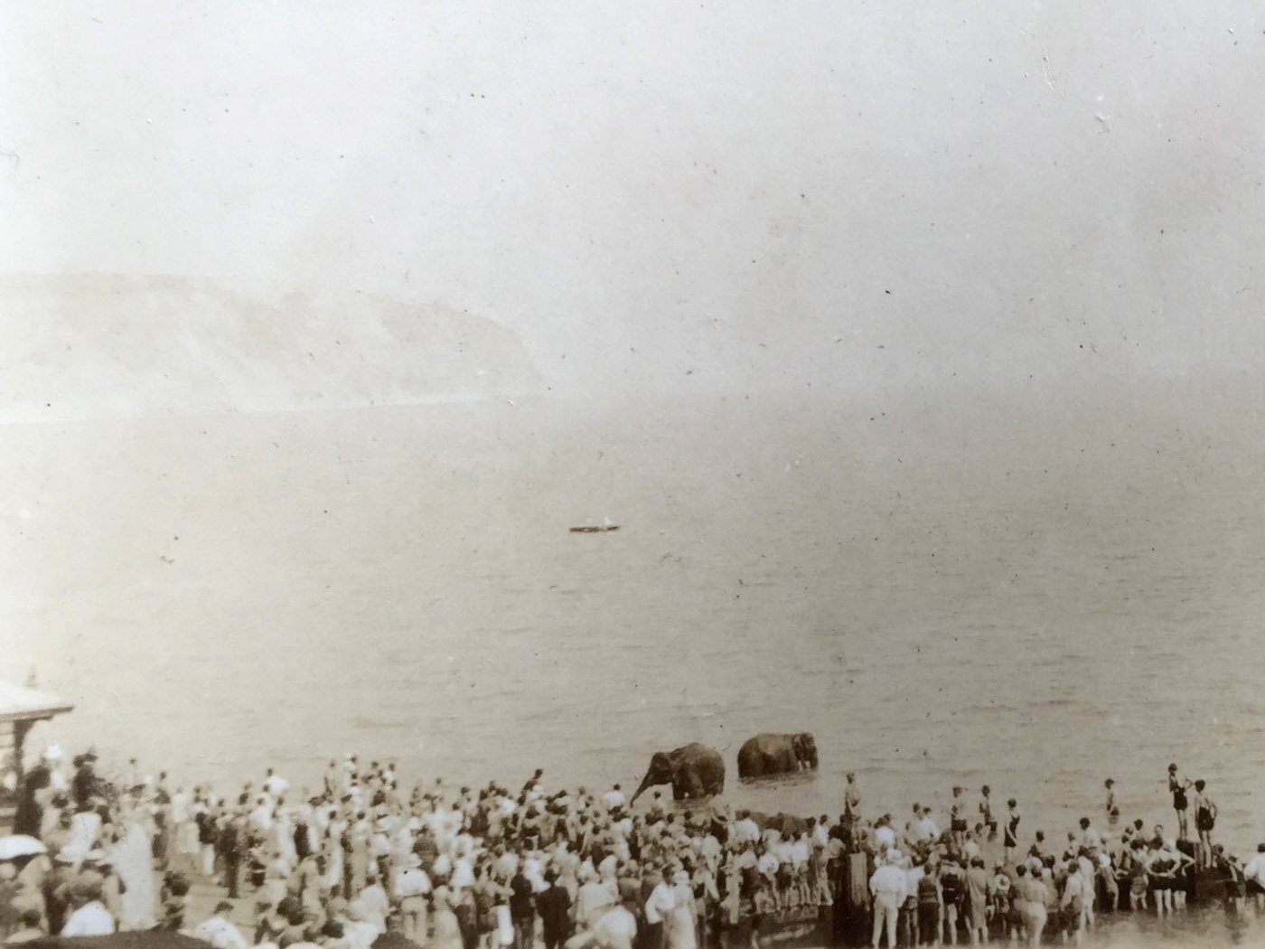 Elephants in the sea at Swanage