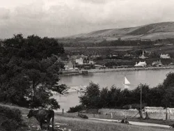 Click to view image Swanage from the Downs with Cows