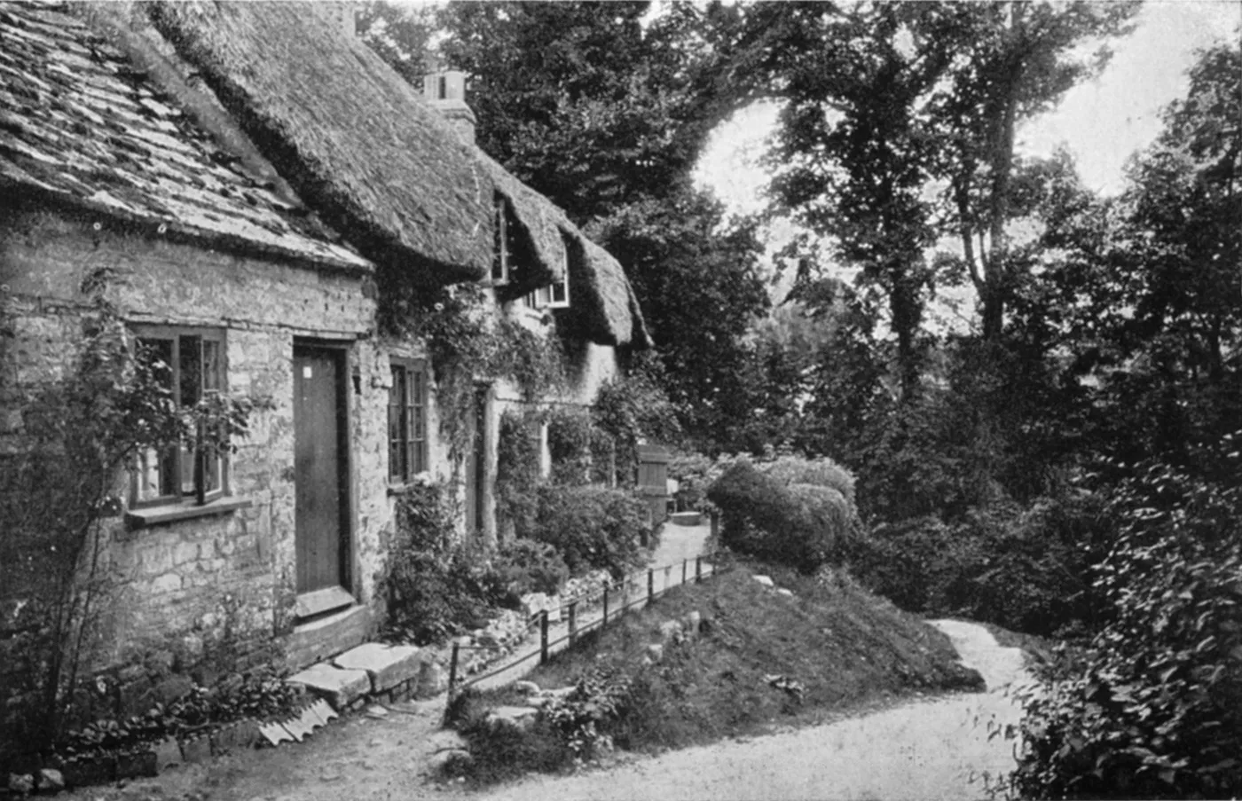 Swanage and Purbeck Gallery