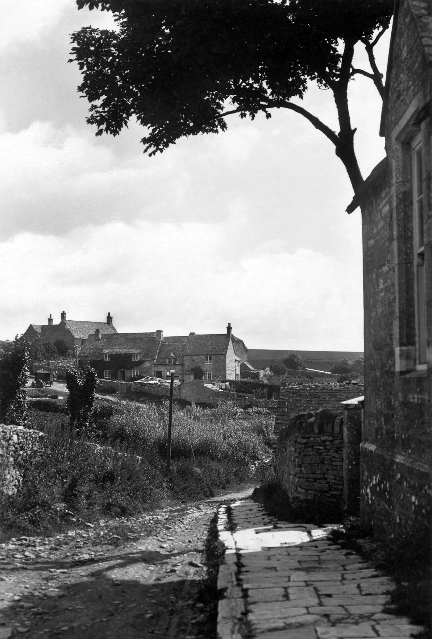 Swanage and Purbeck Gallery