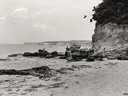 Studland Beach to Ballard Down - Ref: VS2192