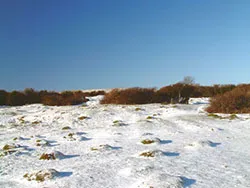 Click to view image Snow at Durlston