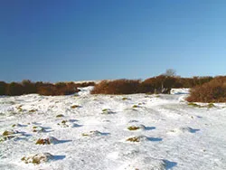 Snow at Durlston - Ref: VS547