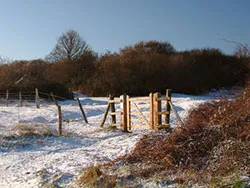 Click to view image Snow at the Townsend Nature Reserve