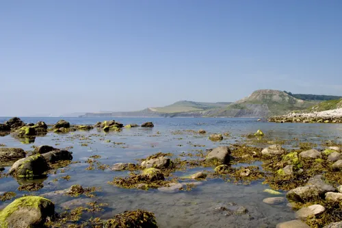 Swanage and Purbeck Gallery