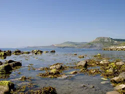 Click to view image Chapmans Pool at Low Tide