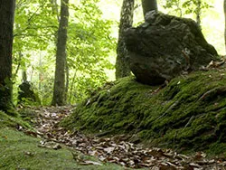 Click to view image Standing Stones