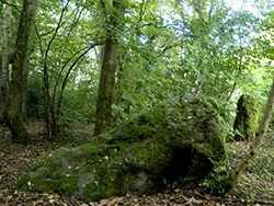 Standing Stones on the Purbeck Hills - Ref: VS645