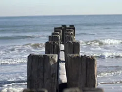 Click to view image Old groynes  on the Beach