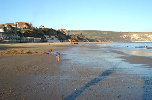 Swanage and Purbeck Gallery