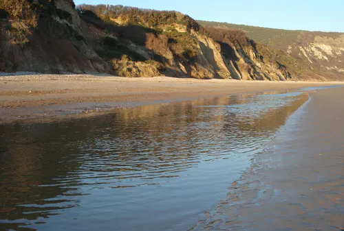 Swanage and Purbeck Gallery