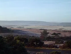 Click to view image Frost on the heath