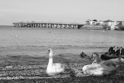 Swanage and Purbeck Gallery
