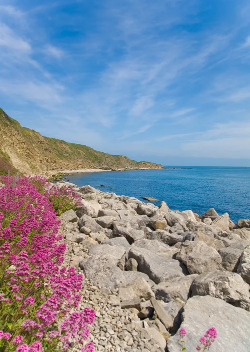 Swanage and Purbeck Gallery