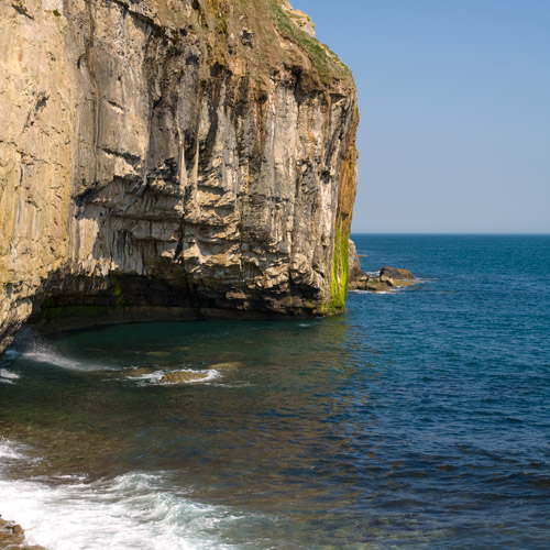 Dancing Ledge Cliffs | Swanage gallery