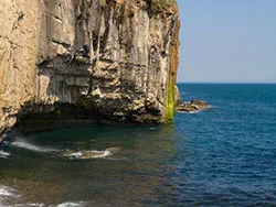Click to view image Dancing Ledge Cliffs