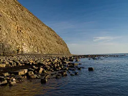 Click to view image Kimmeridge Ledges