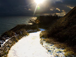 Click to view image Snowy Path - 1171
