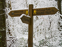 Click to view image Snowy Sign - 1179