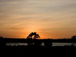 Click to view image Studland Sunset