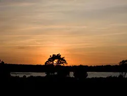 Studland Sunset - Ref: VS1235