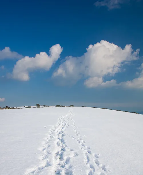 Swanage and Purbeck Gallery