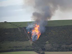 Click to view image Burning Gorse