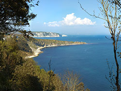 Click to view image The Two Bays from Durlston Bay - 1310