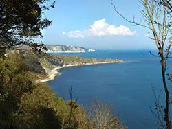 Click to view image The Two Bays from Durlston Bay