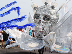Carnival 2011 - Ref: VS1345