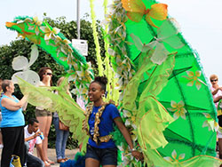 Carnival 2011 - Ref: VS1347
