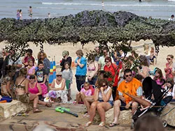 Click to view image Carnival 2011