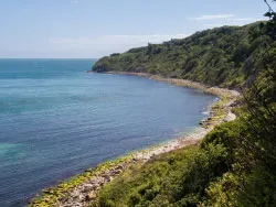 Durlston Bay to the Castle - Ref: VS1407