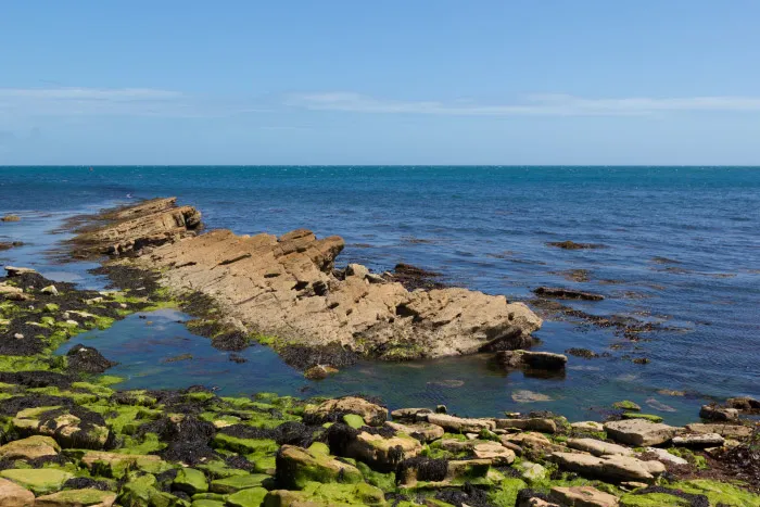 Swanage and Purbeck Gallery