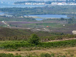 Click to view image Across Studland Heath