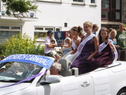 Click to view image Swanage Carnival - 1468
