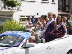 Click to view image Swanage Carnival